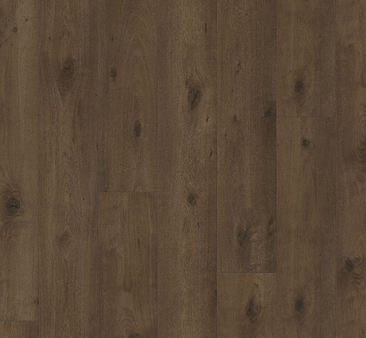 Trendtime 6 Dub Everglade antický 1748792