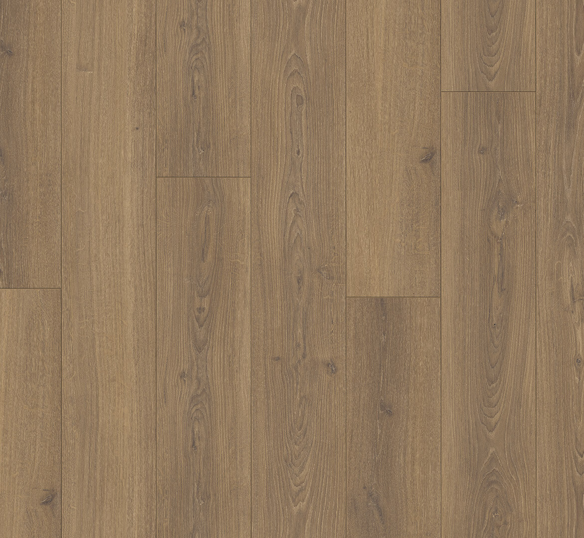 Trendtime 6 Dub Studioline medový 1744708