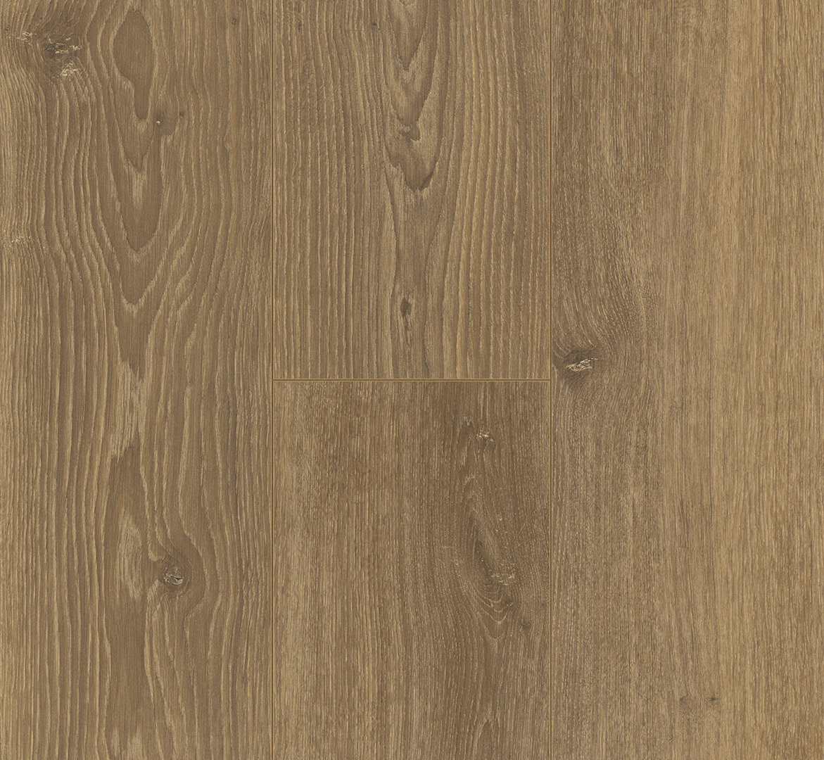 Trendtime 6 Dub Studioline medový 1744708