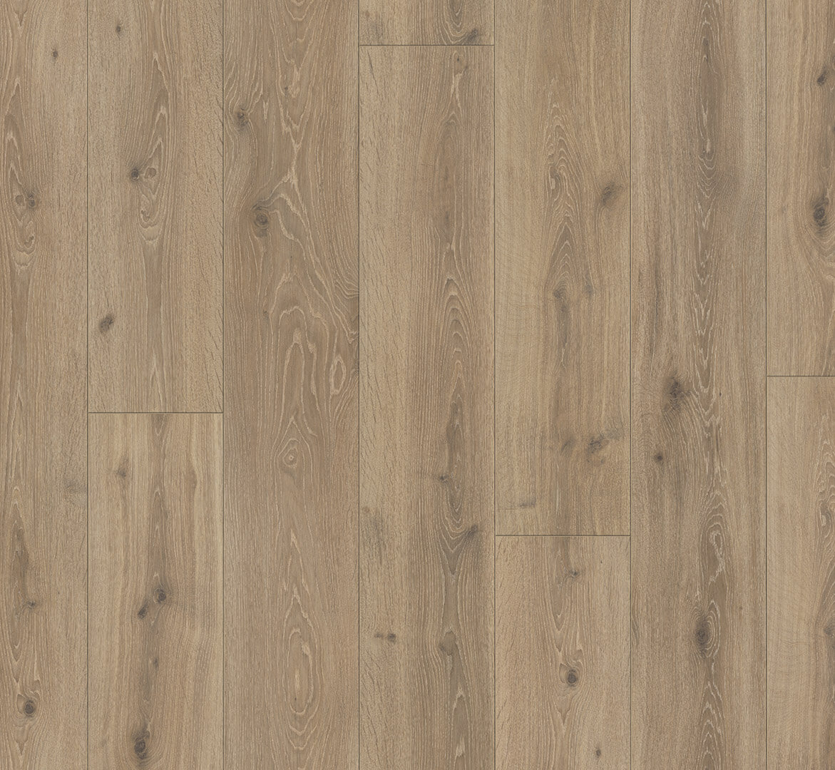 Trendtime 6 Dub Castell bělený 1371173