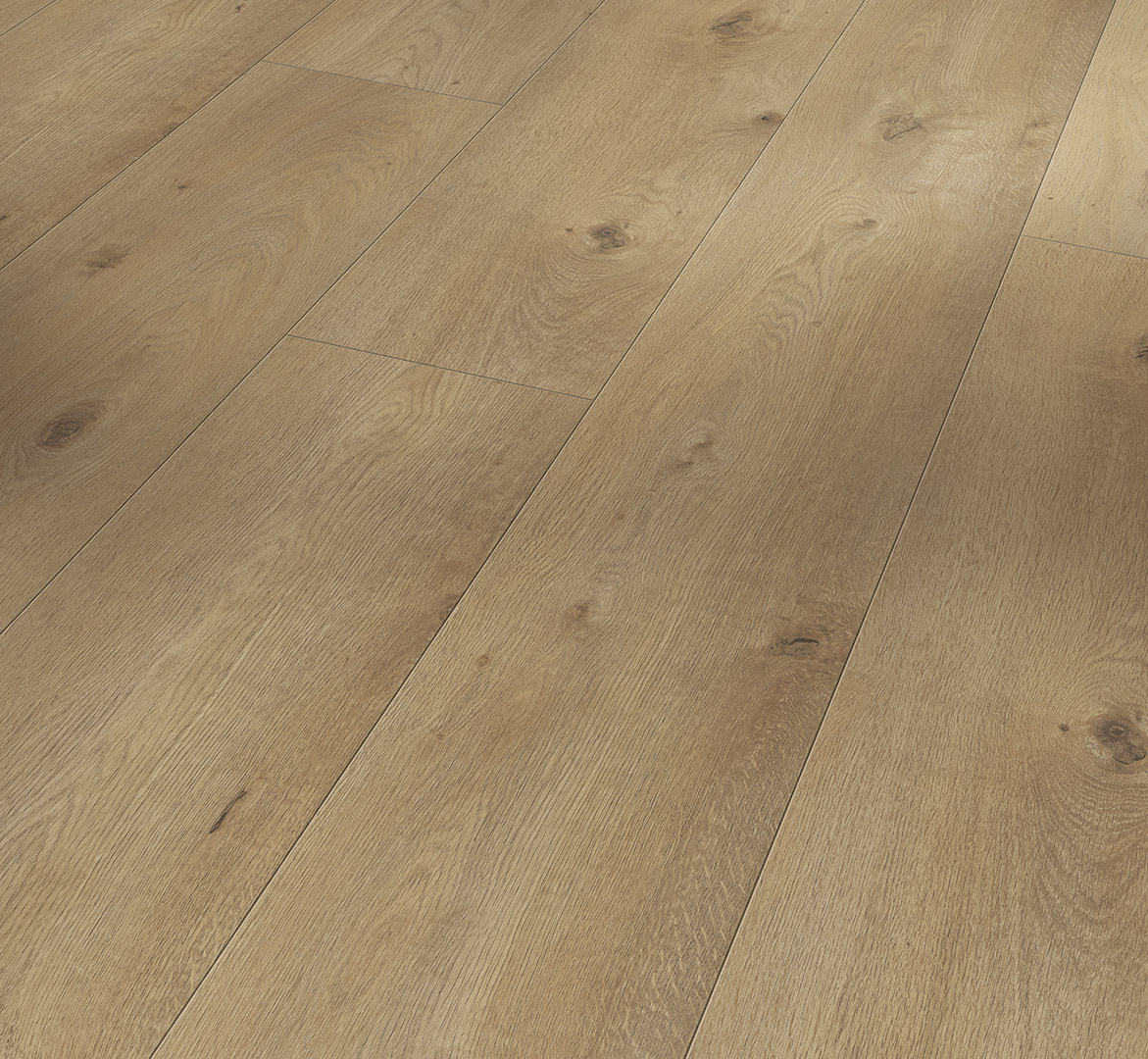 Trendtime 6 Dub Everglade přírodní 1748791