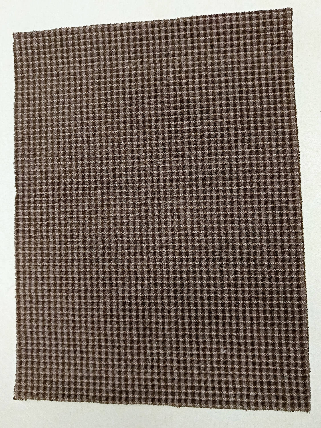 Abetone Club 9220 lontra