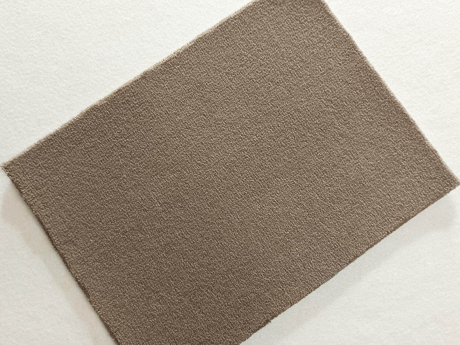 Montecarlo 104 cardamomo