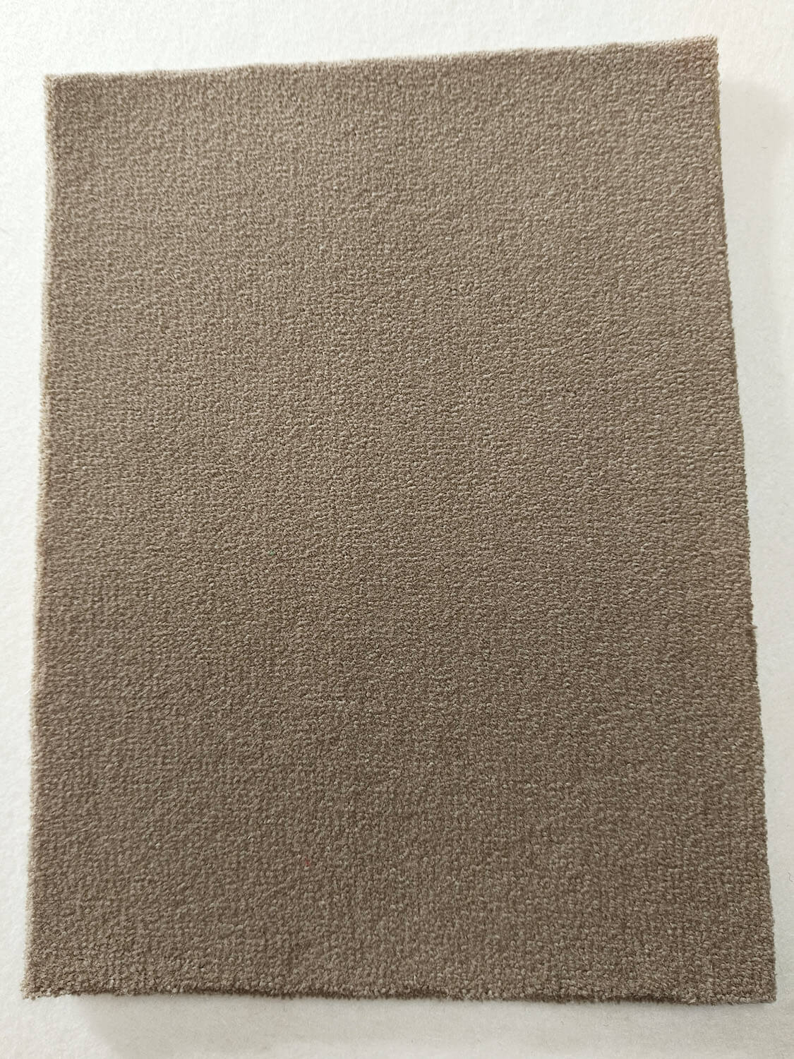 Montecarlo 104 cardamomo