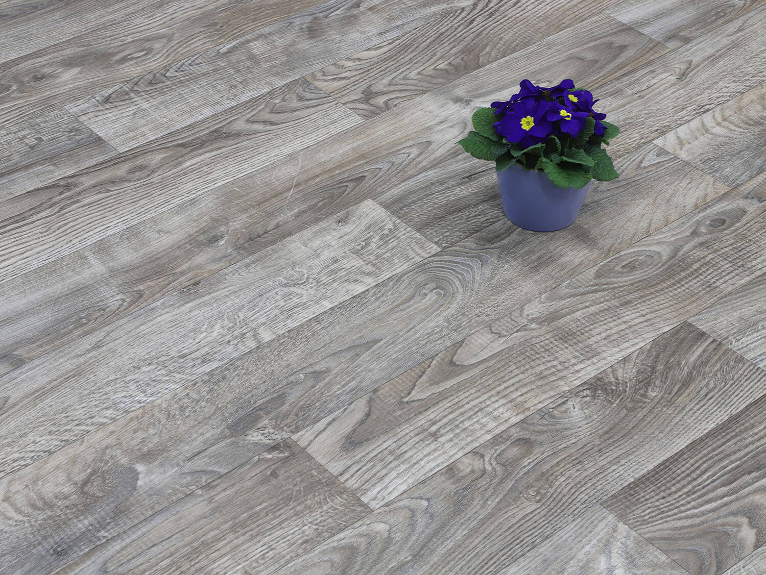 Sherwood White Oak 697M