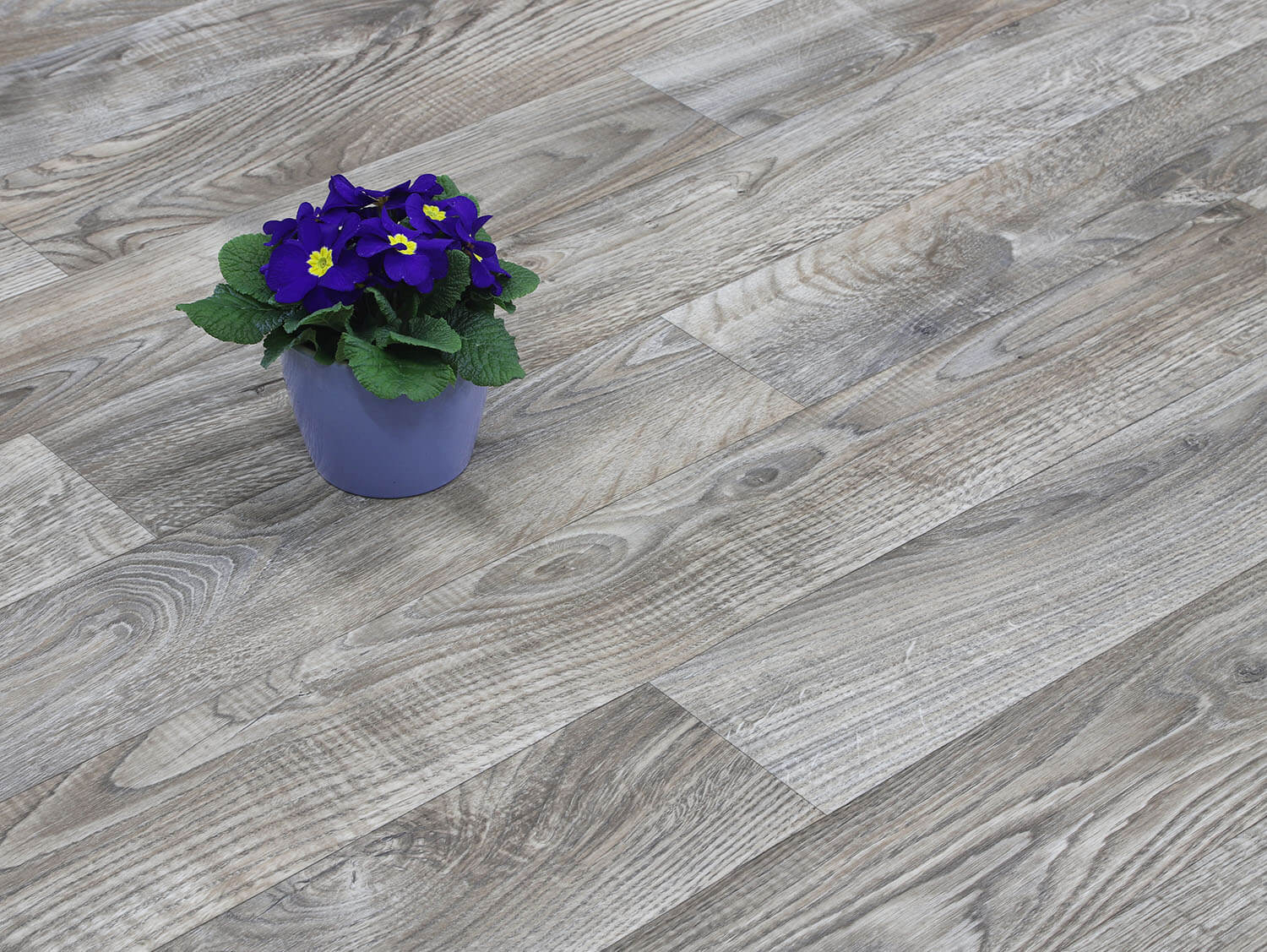 Sherwood White Oak 697M