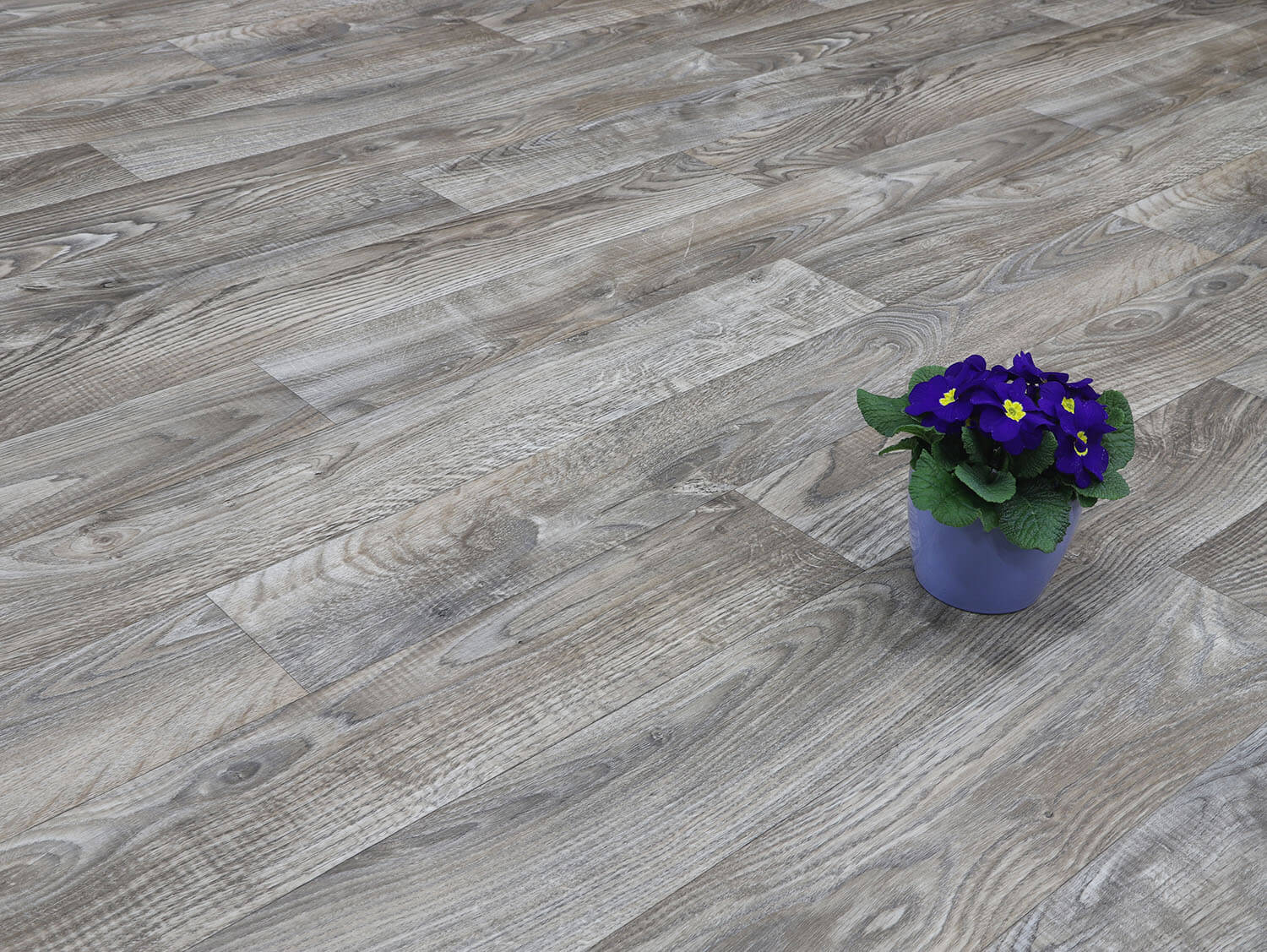 Sherwood White Oak 697M