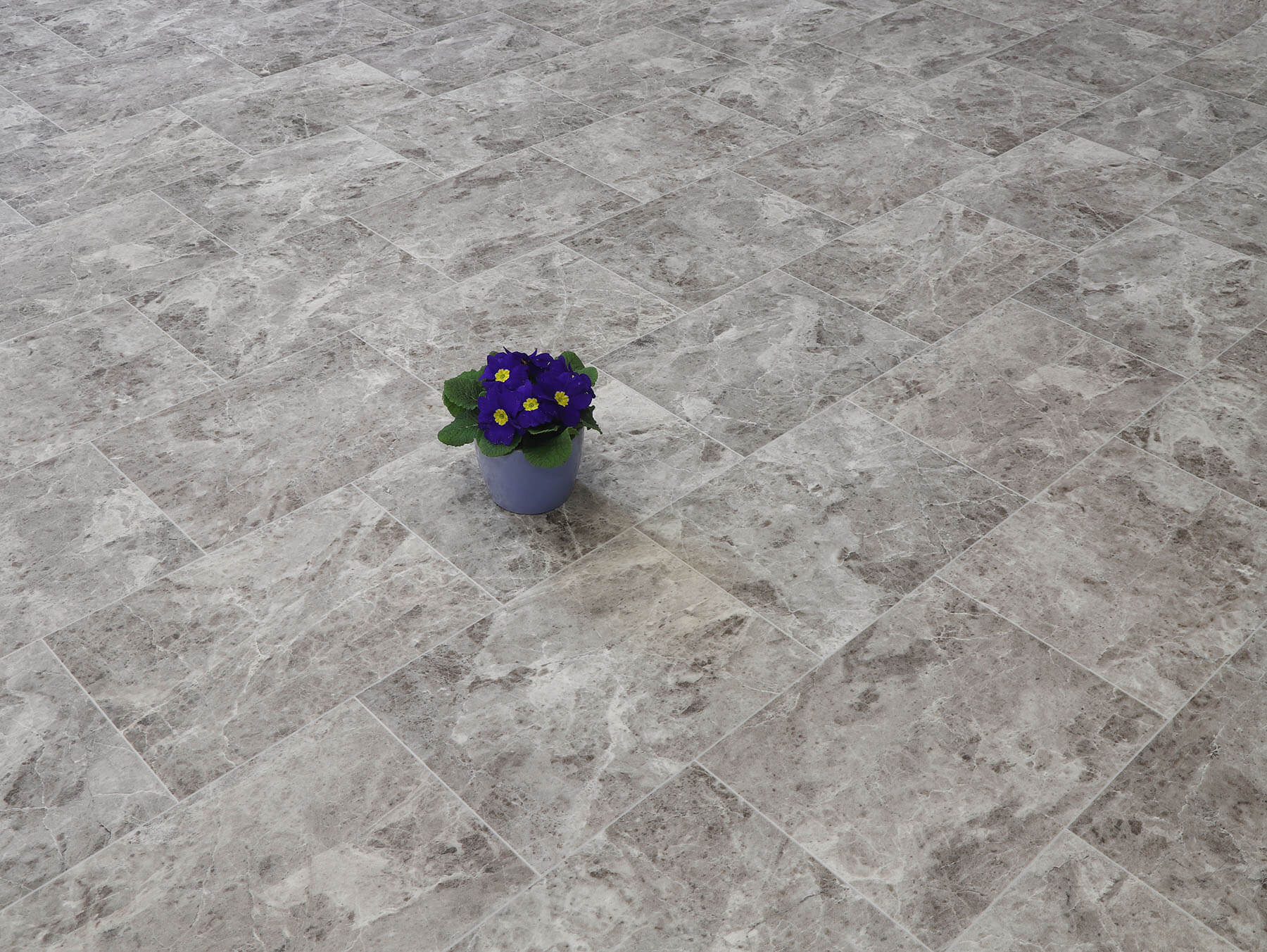 Comfytex Balmani 585