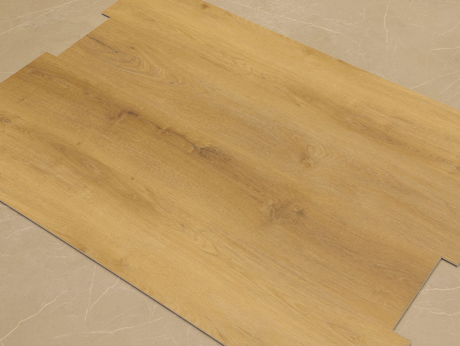 Rigid+ Dub šumavský EIR 687519