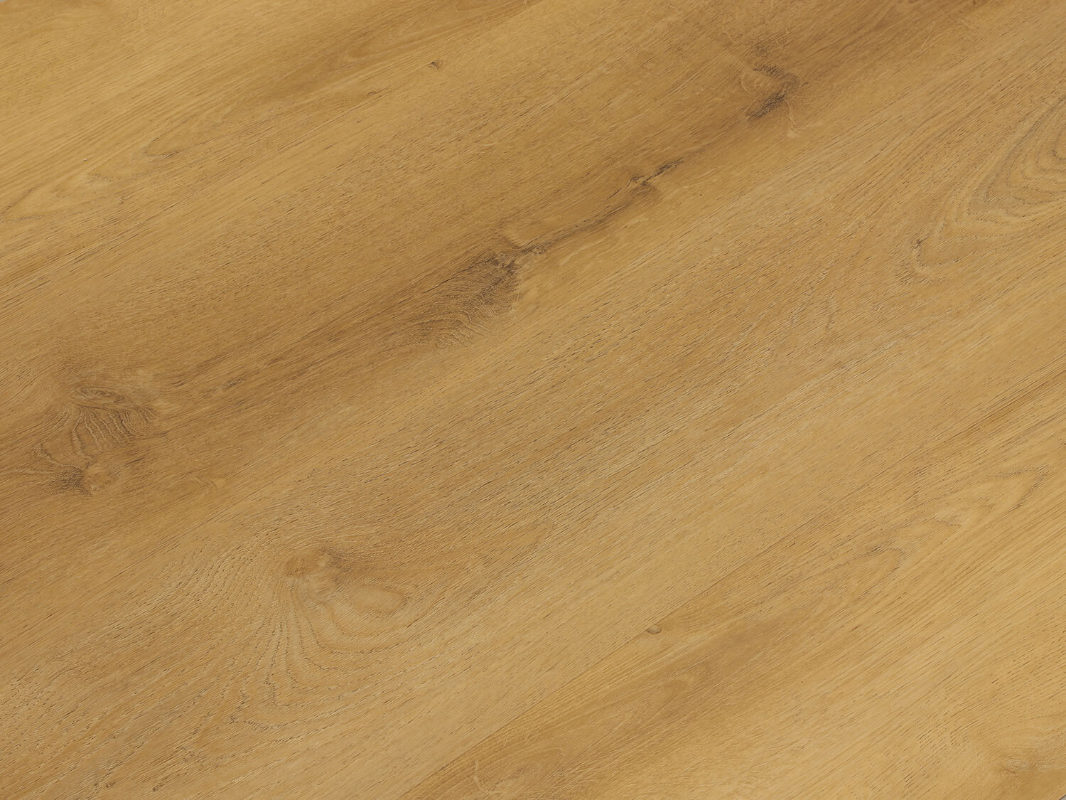 Rigid+ Dub šumavský EIR 687519