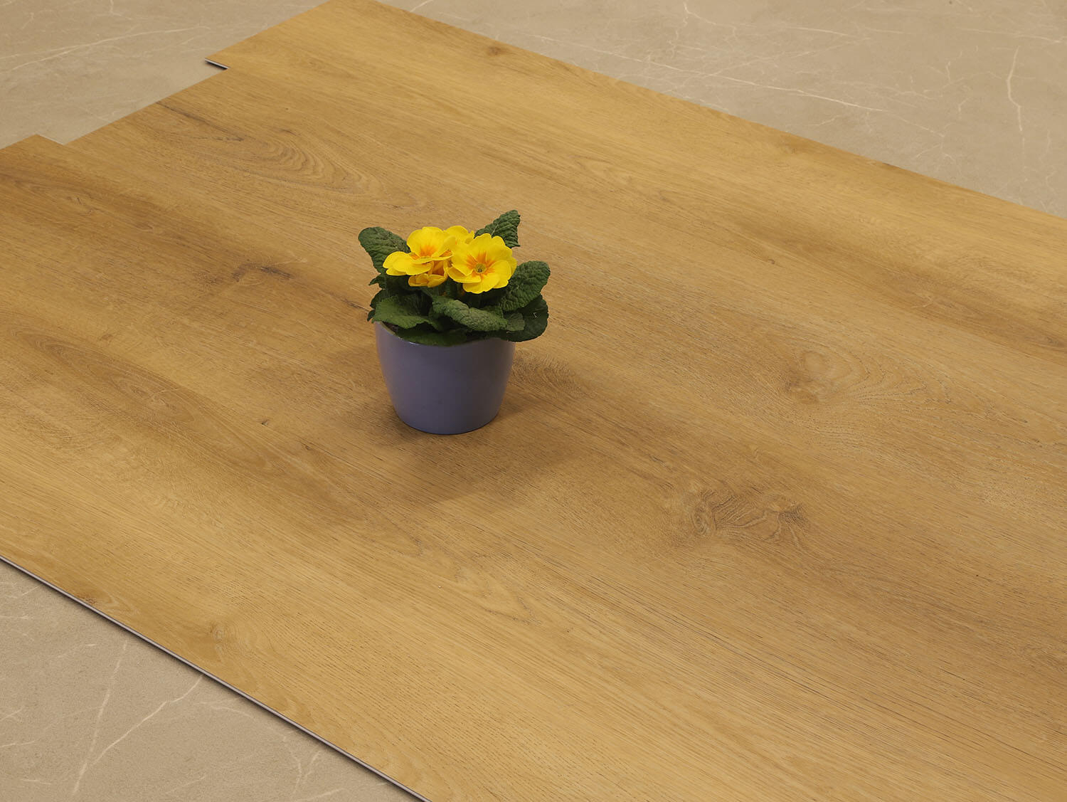 Rigid+ Dub šumavský EIR 687519