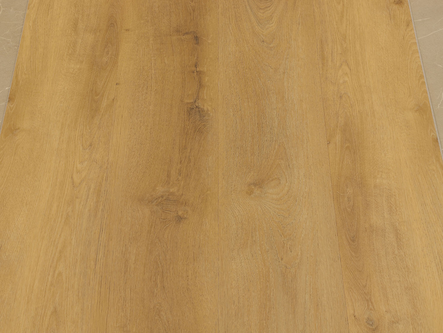 Rigid+ Dub šumavský EIR 687519