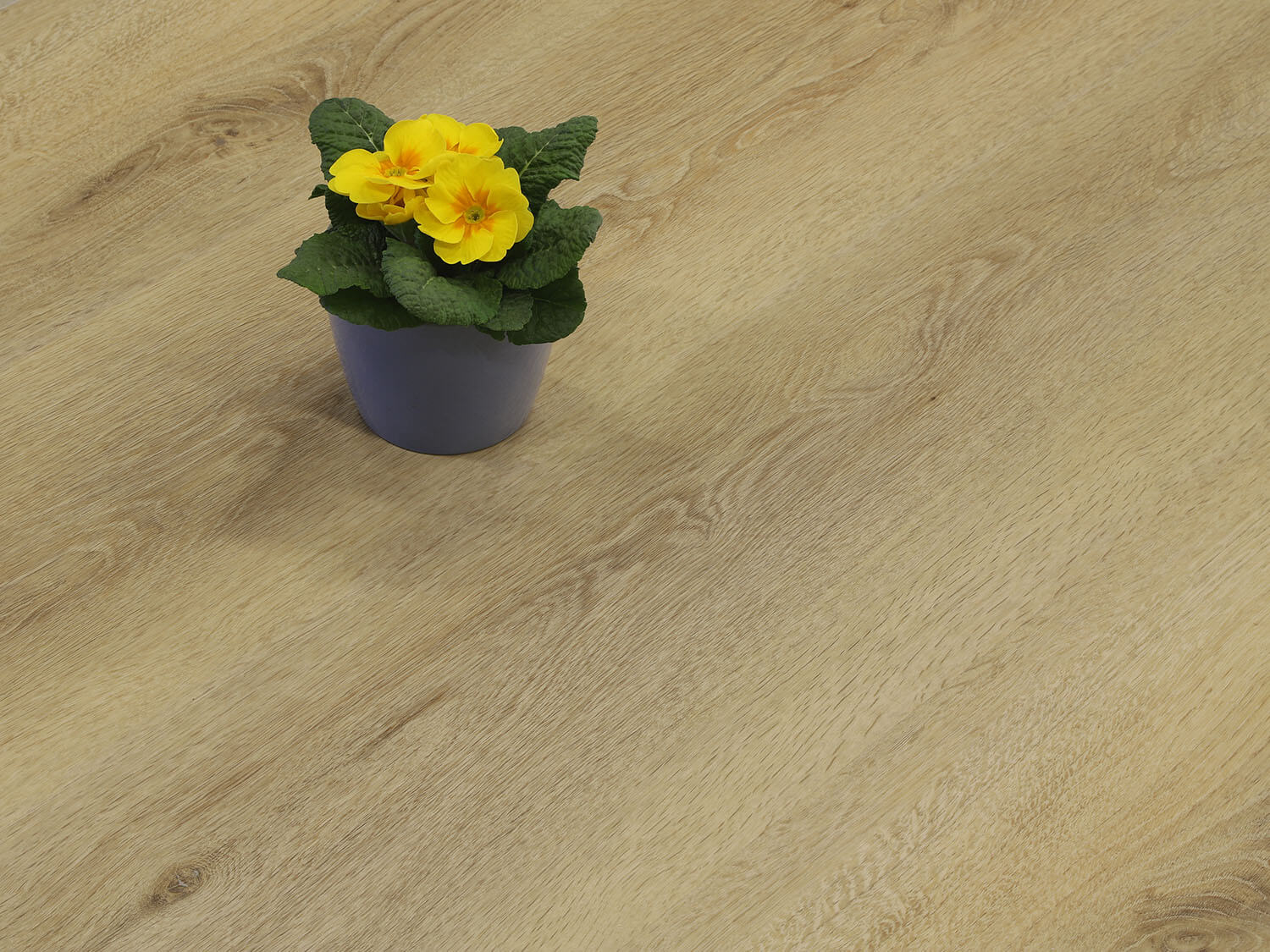 Rigid+ Dub vídeňský EIR 9217192