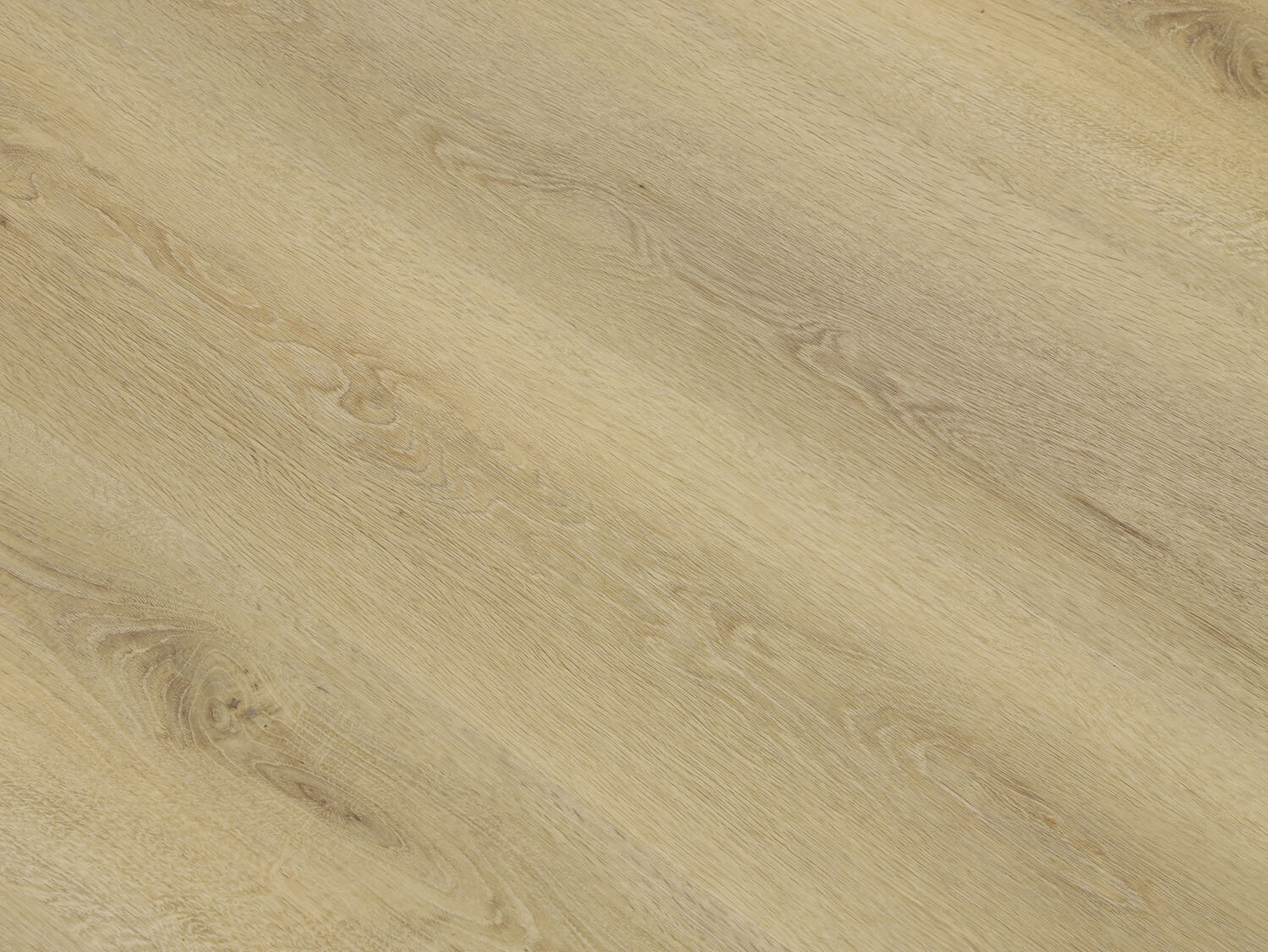 Rigid+ Dub vídeňský EIR 9217192