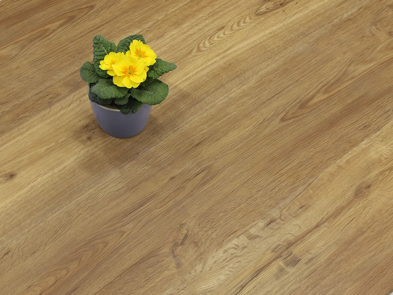 Rigid+ Dub country EIR 8009