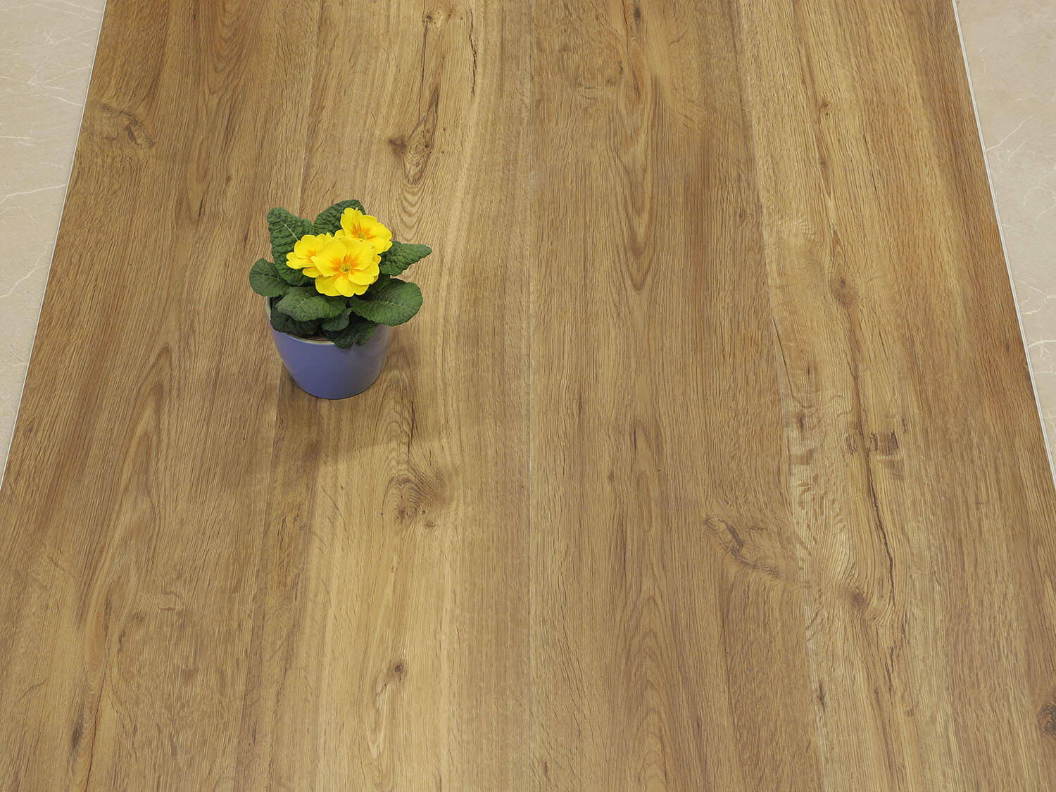 Rigid+ Dub country EIR 8009