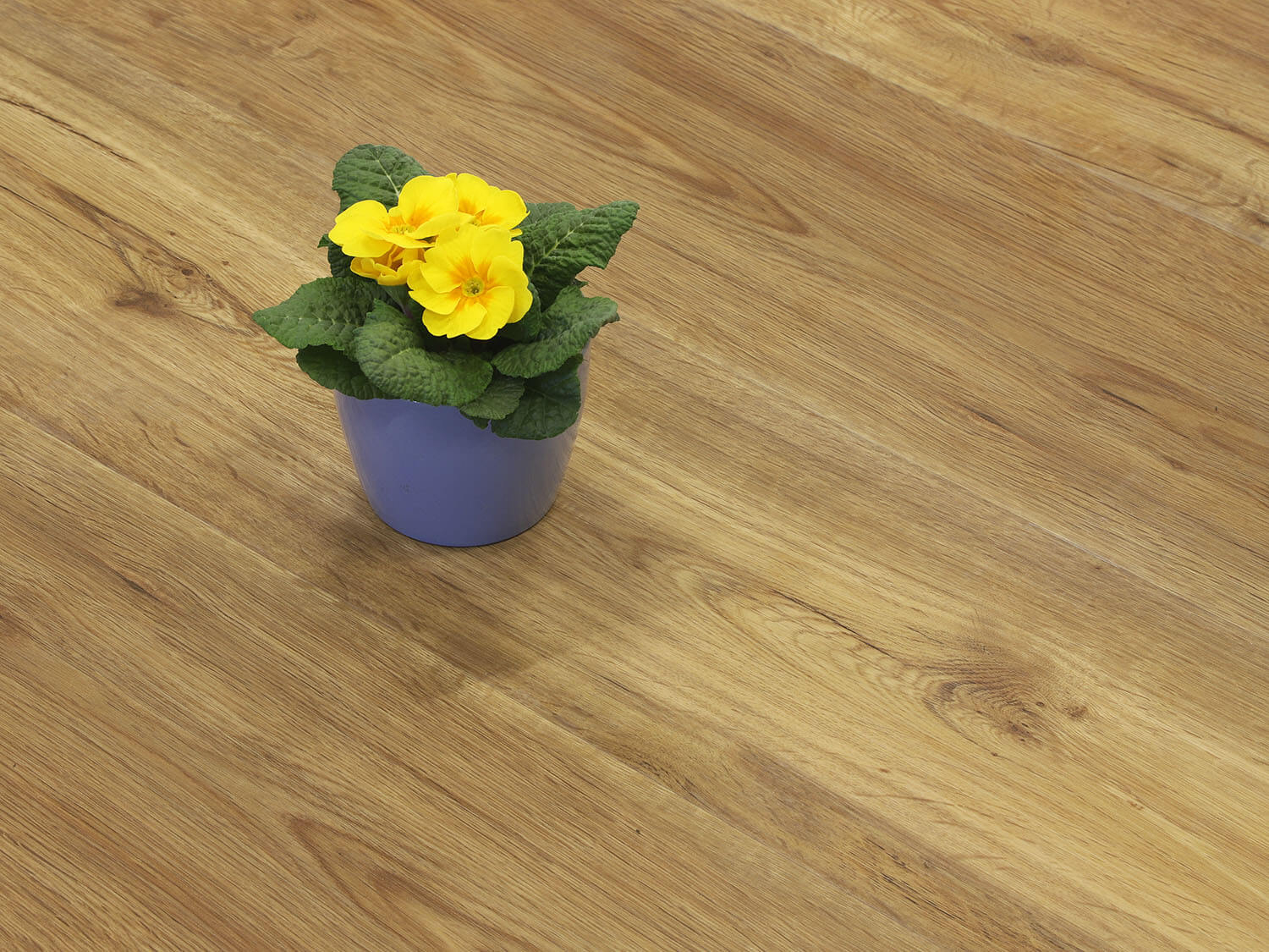 Rigid+ Dub country EIR 8009