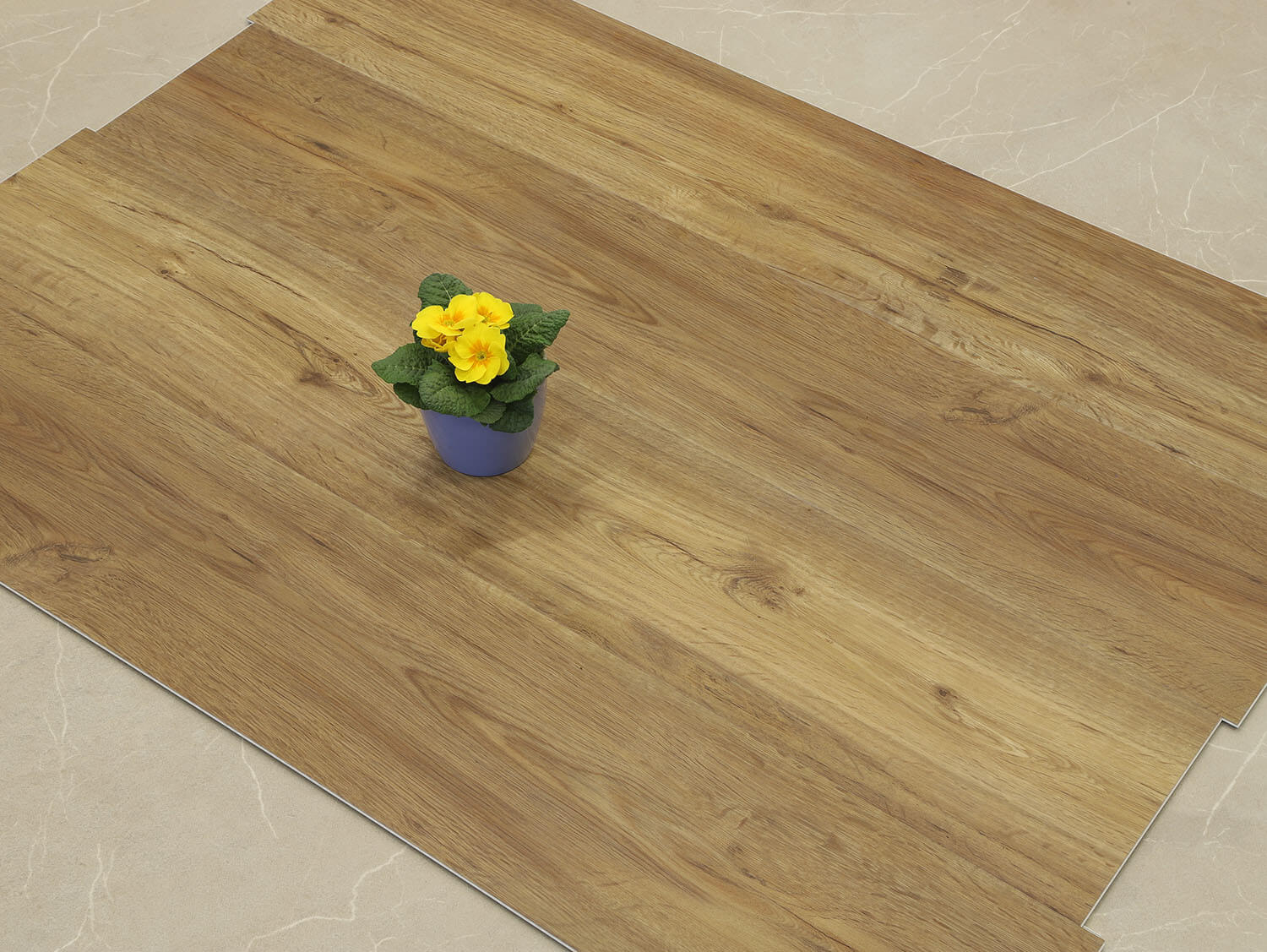 Rigid+ Dub country EIR 8009