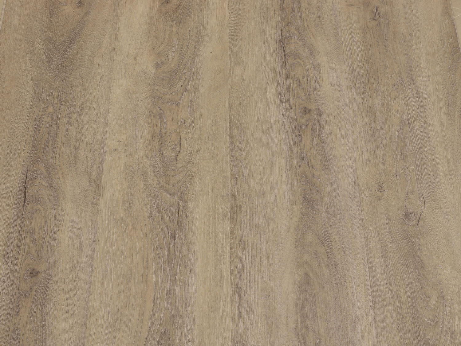 Rigid+ Dub skandinávský EIR 9480