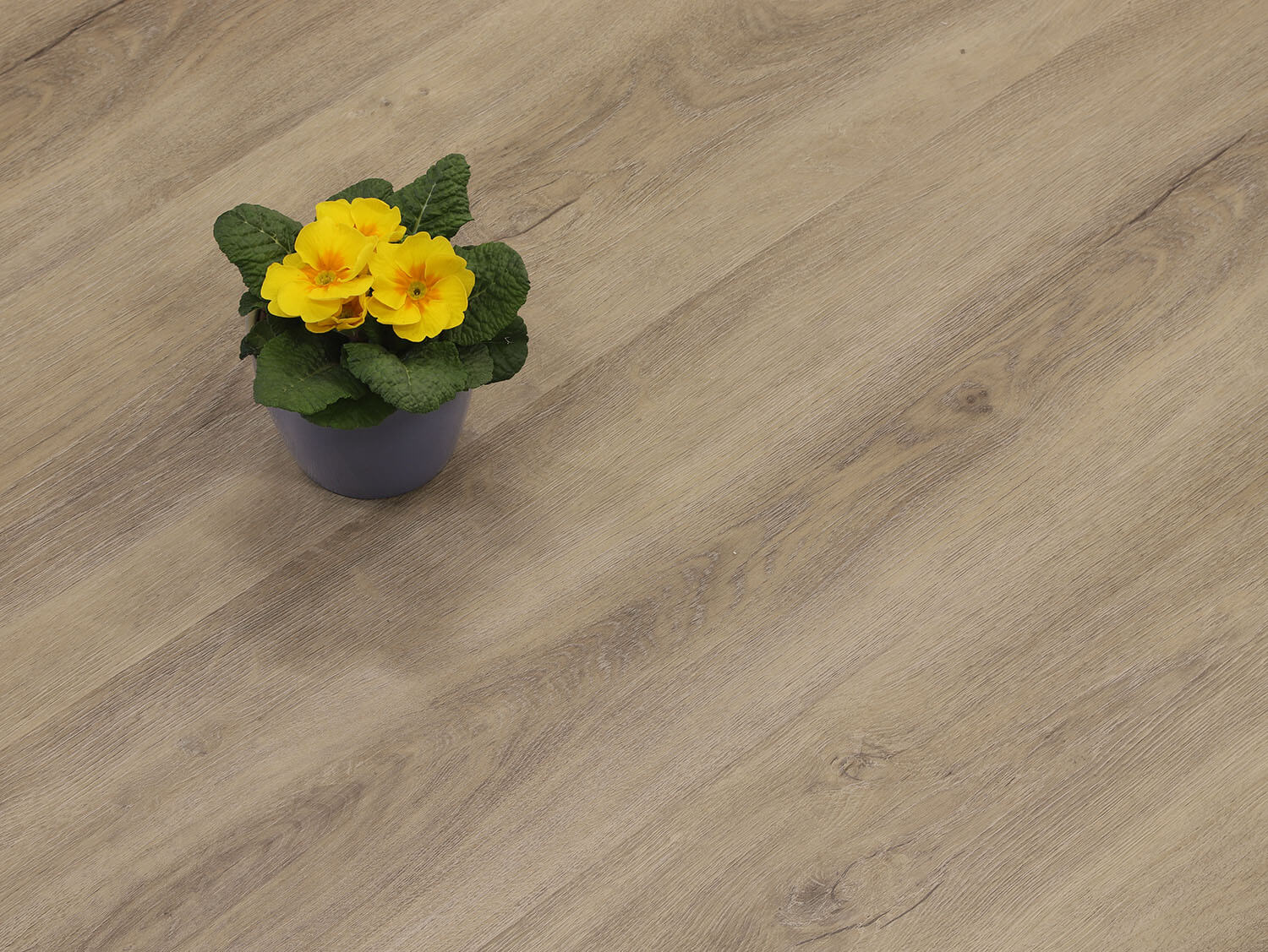 Rigid+ Dub skandinávský EIR 9480