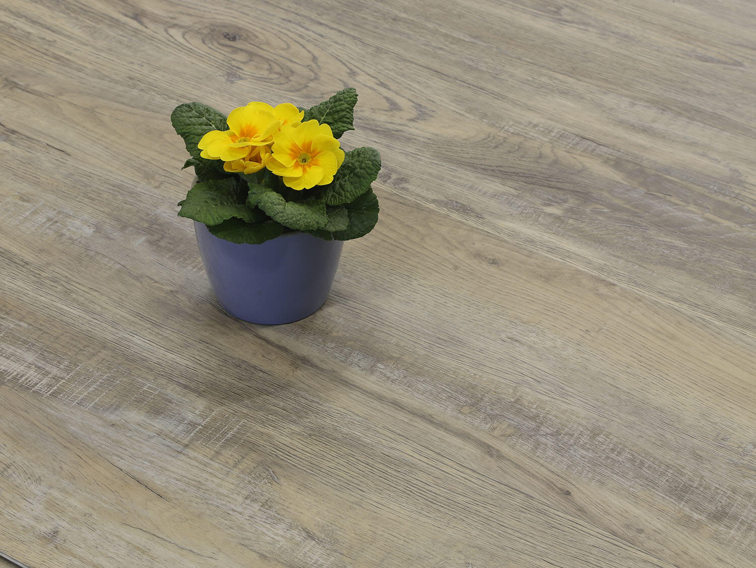 Rigid+ Dub kamencový EIR 9719