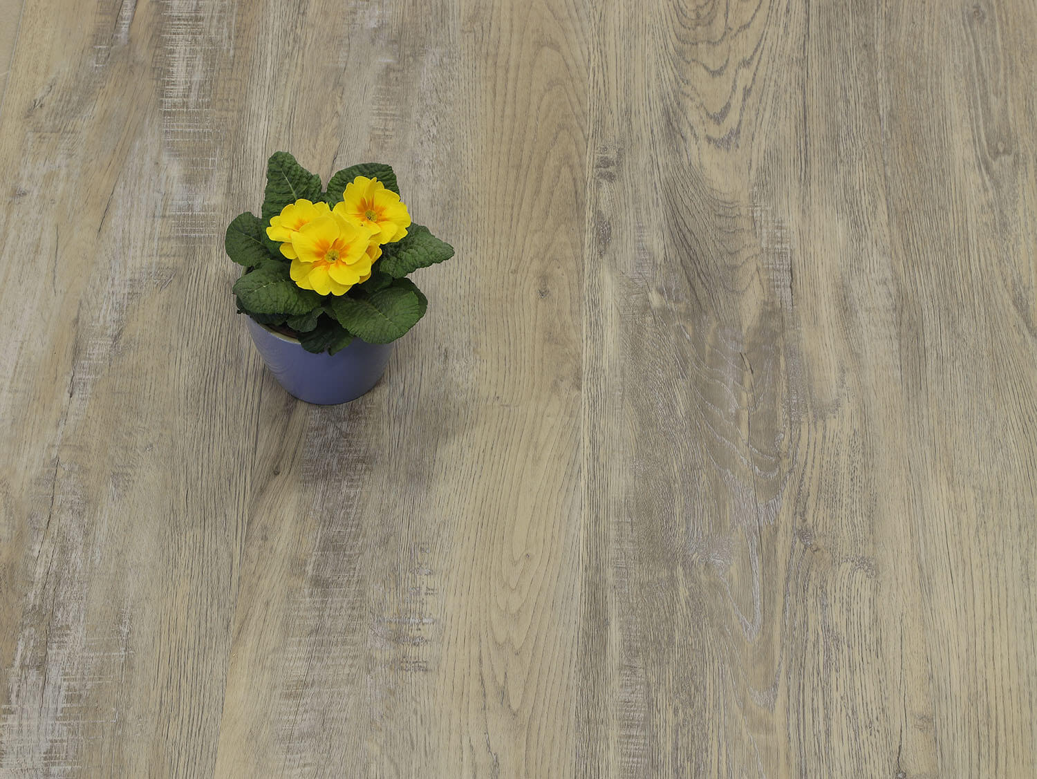 Rigid+ Dub kamencový EIR 9719