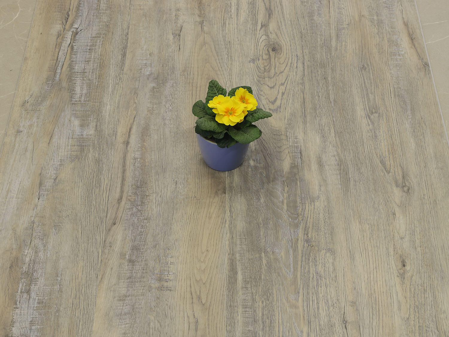 Rigid+ Dub kamencový EIR 9719