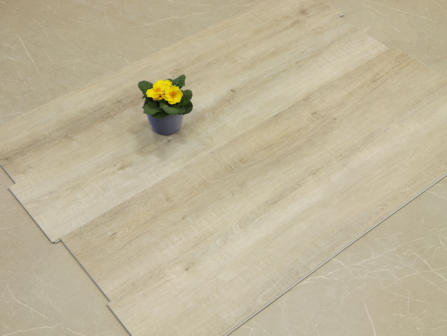 Rigid+ Dub písečný 15396