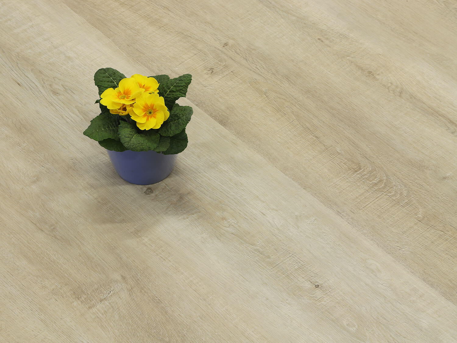 Rigid+ Dub písečný 15396