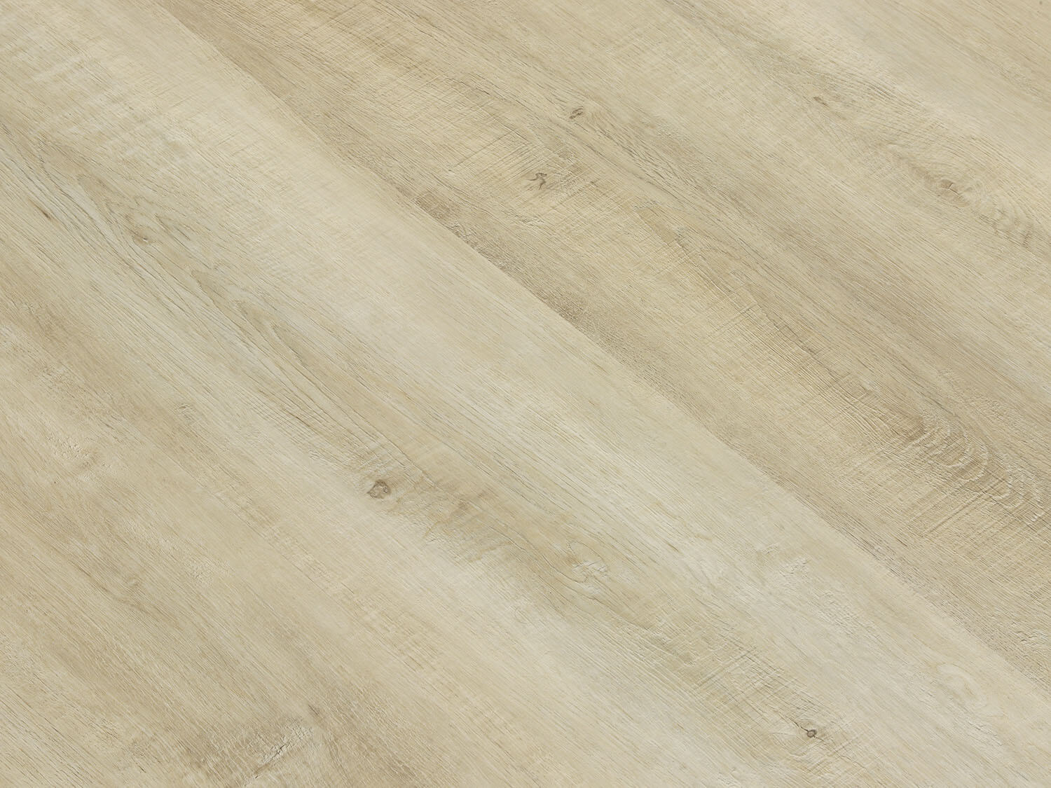 Rigid+ Dub písečný 15396