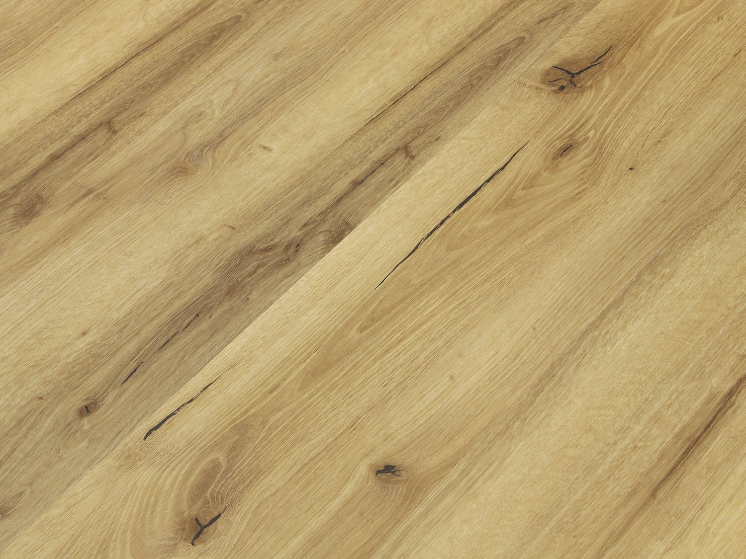 Rigid+ Dub alpský EIR 810165