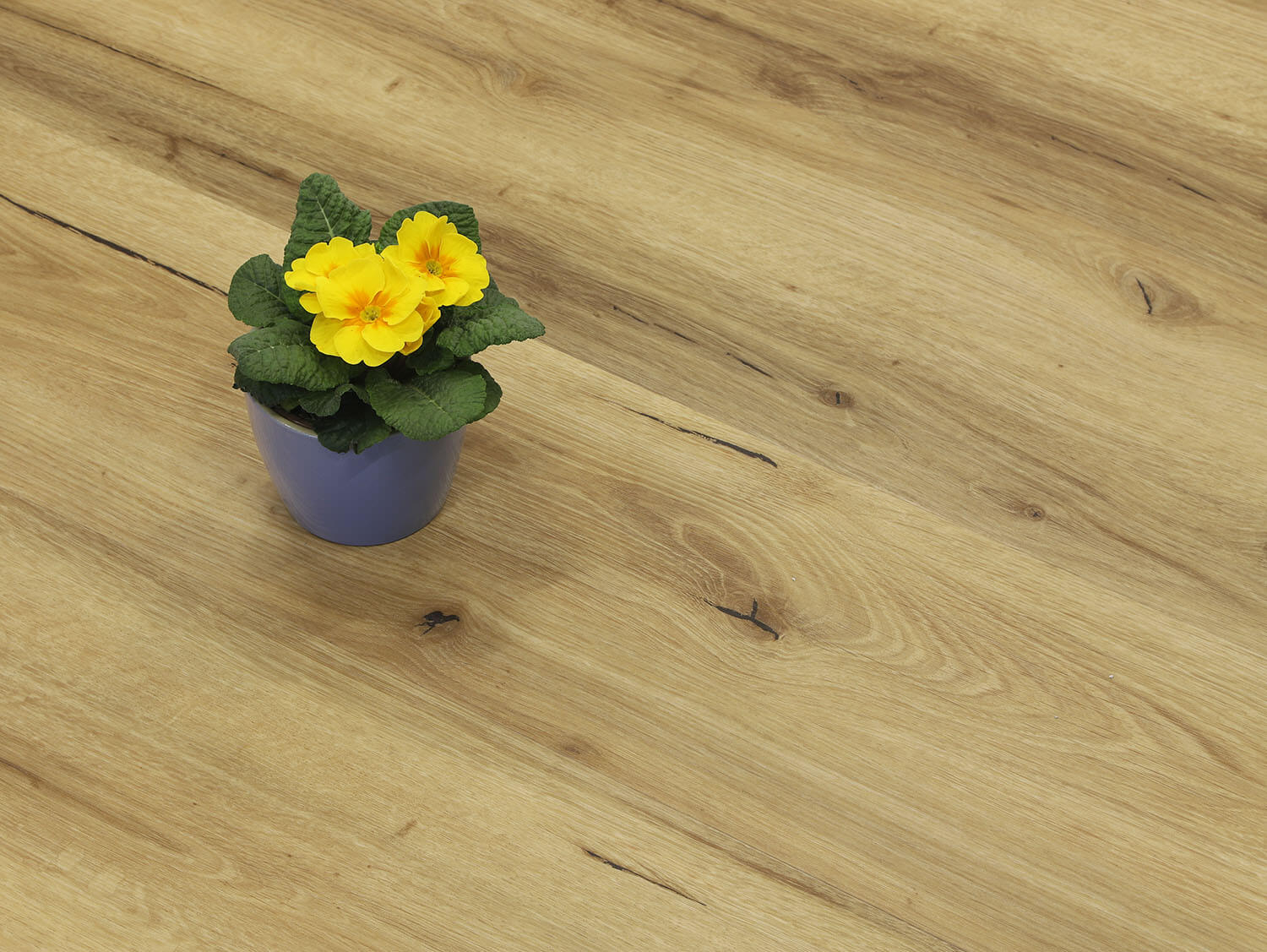 Rigid+ Dub alpský EIR 810165