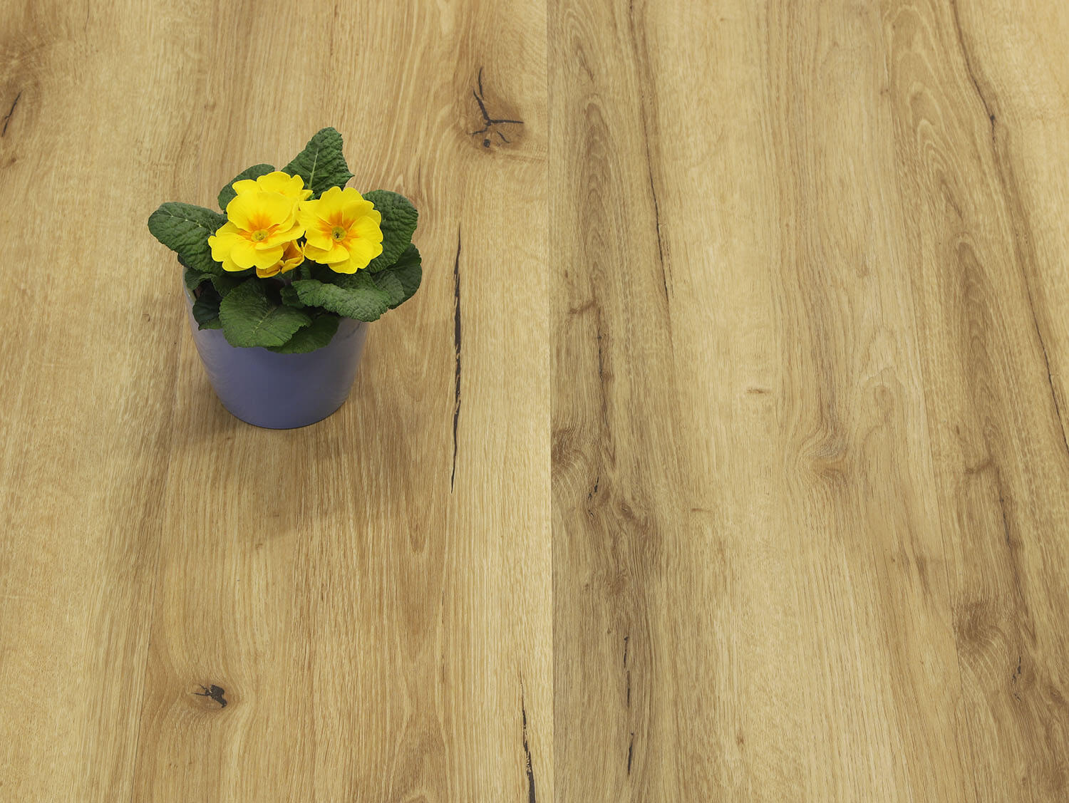 Rigid+ Dub alpský EIR 810165