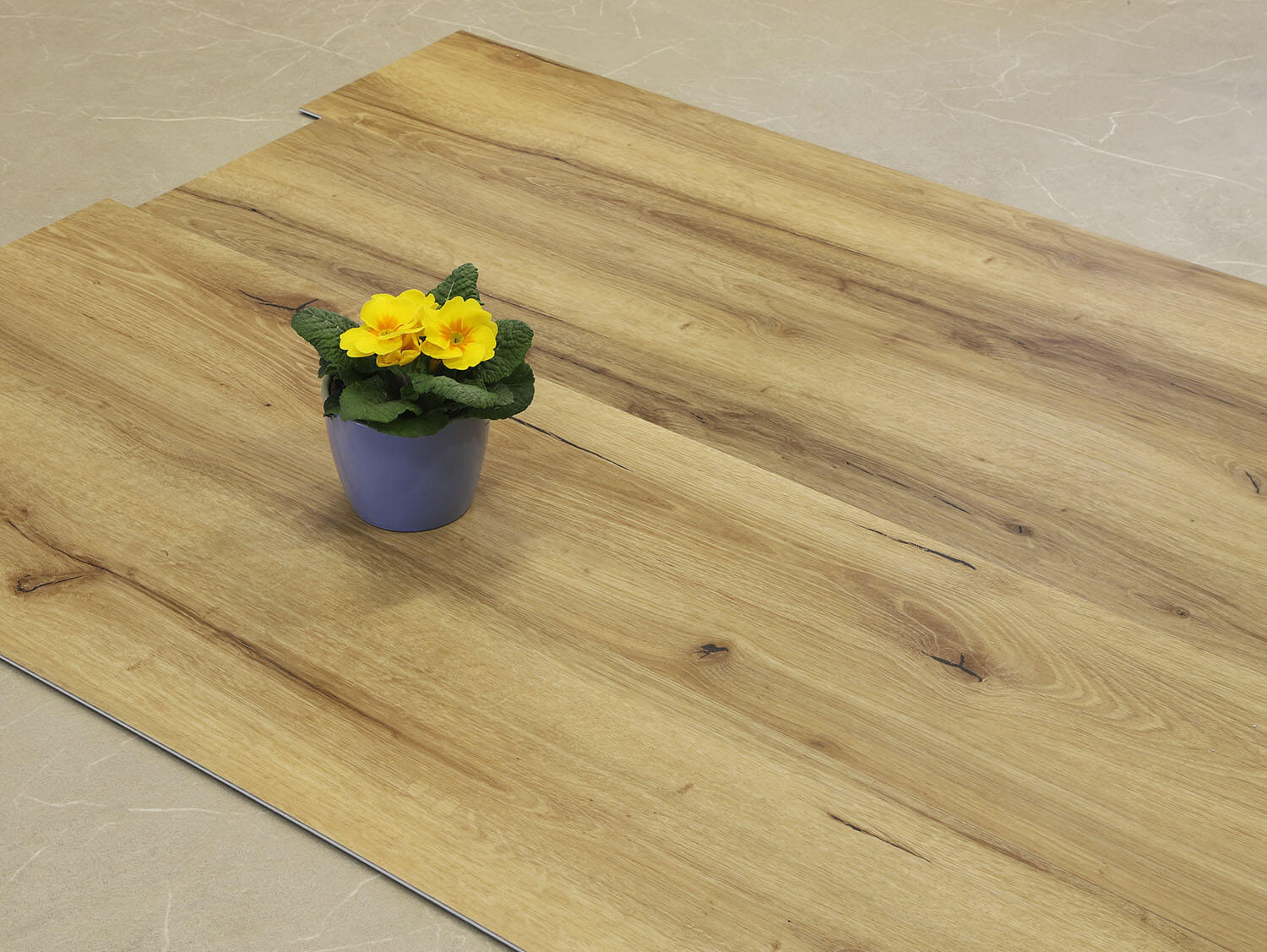 Rigid+ Dub alpský EIR 810165