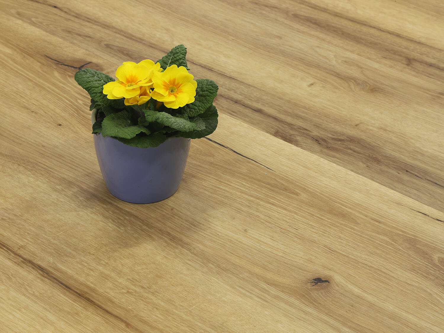 Rigid+ Dub alpský EIR 810165