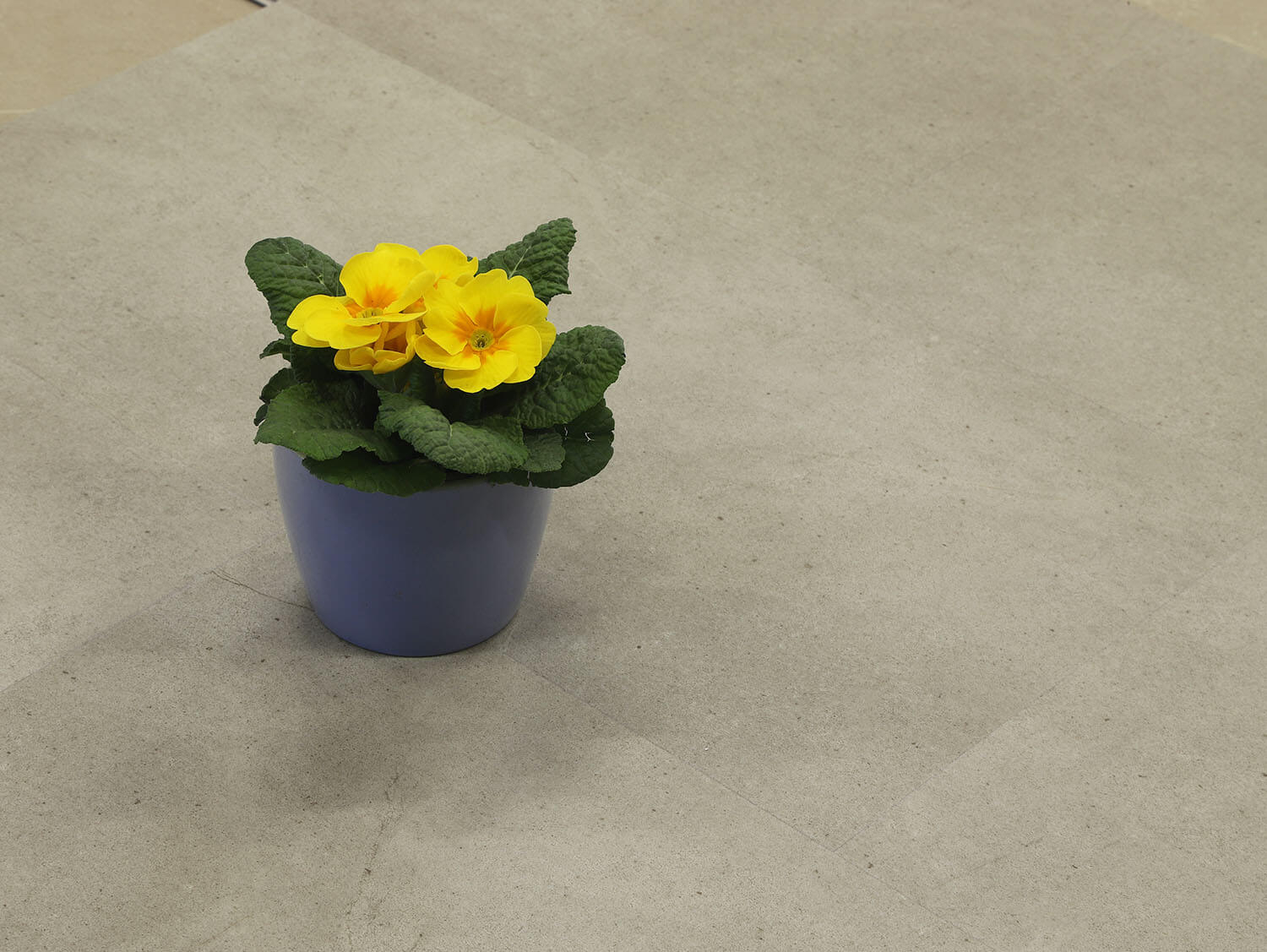 Rigid+ Beton světlý 38235