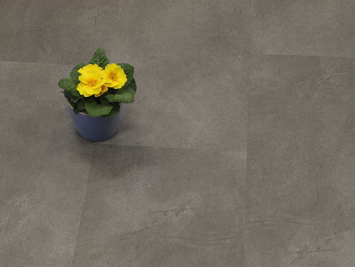 Rigid+ Beton tmavý 382310