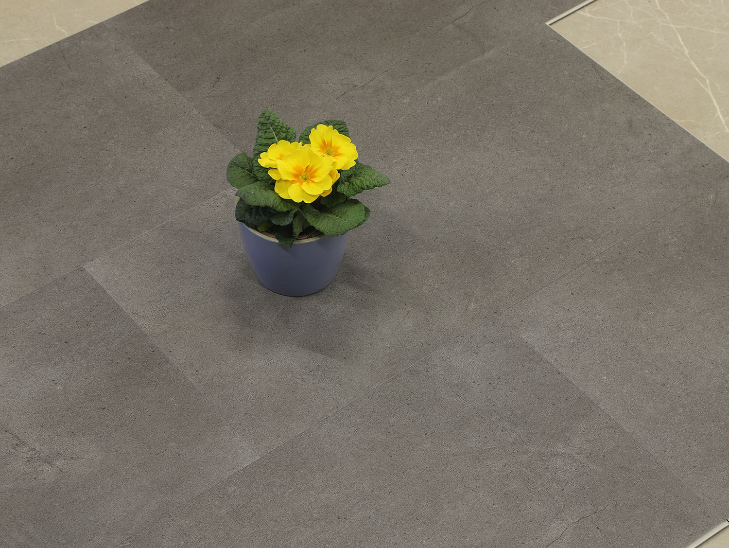 Rigid+ Beton tmavý 382310