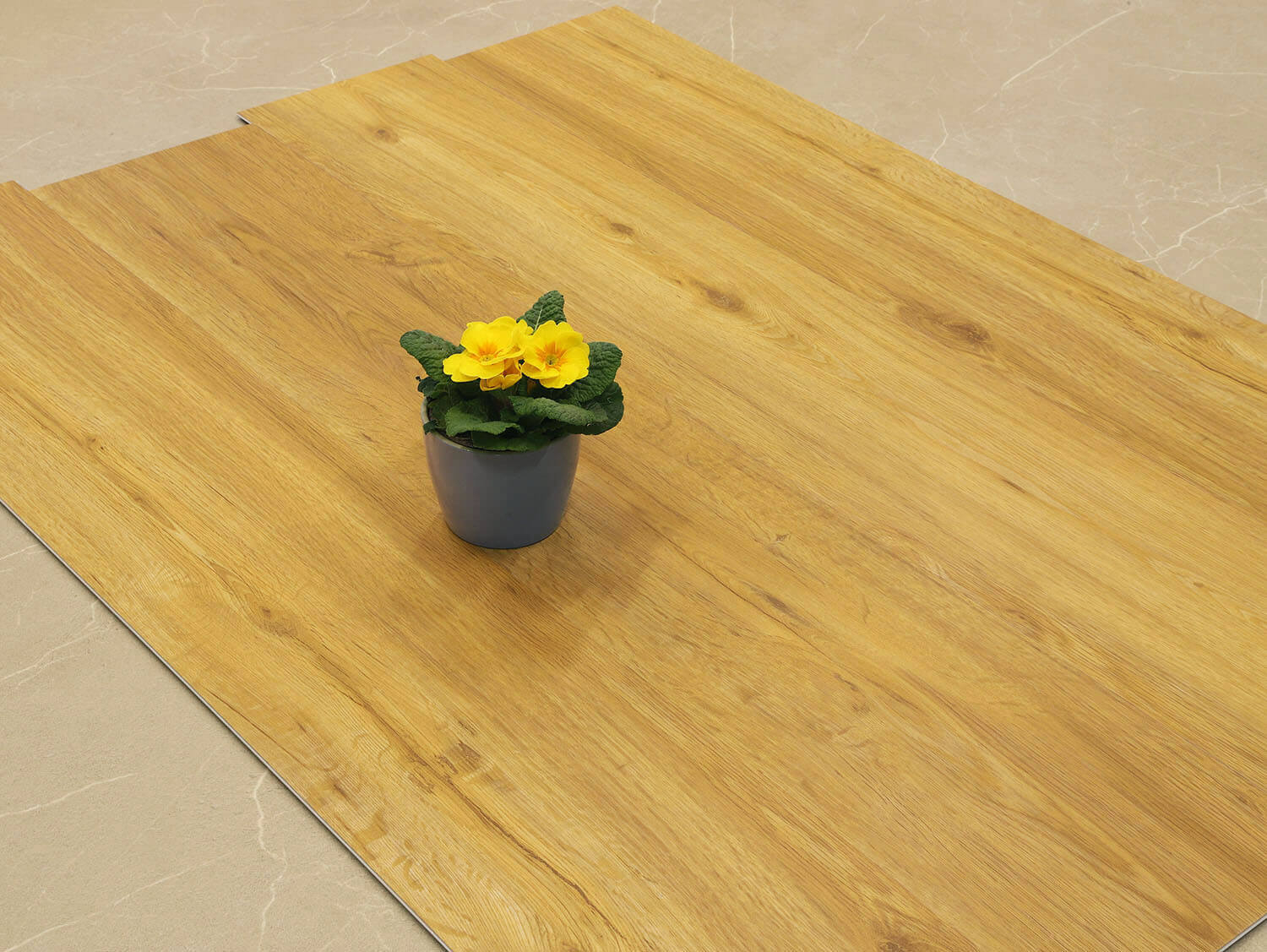 Rigid+ Dub medový EIR 8108