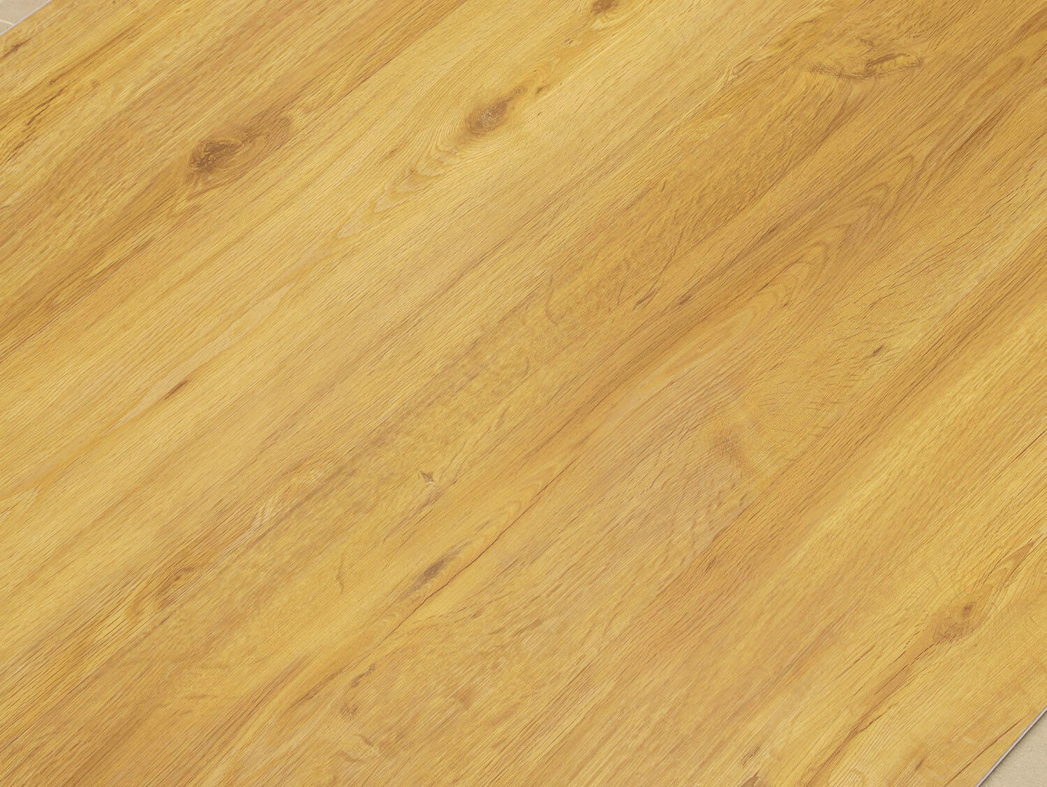 Rigid+ Dub medový EIR 8108