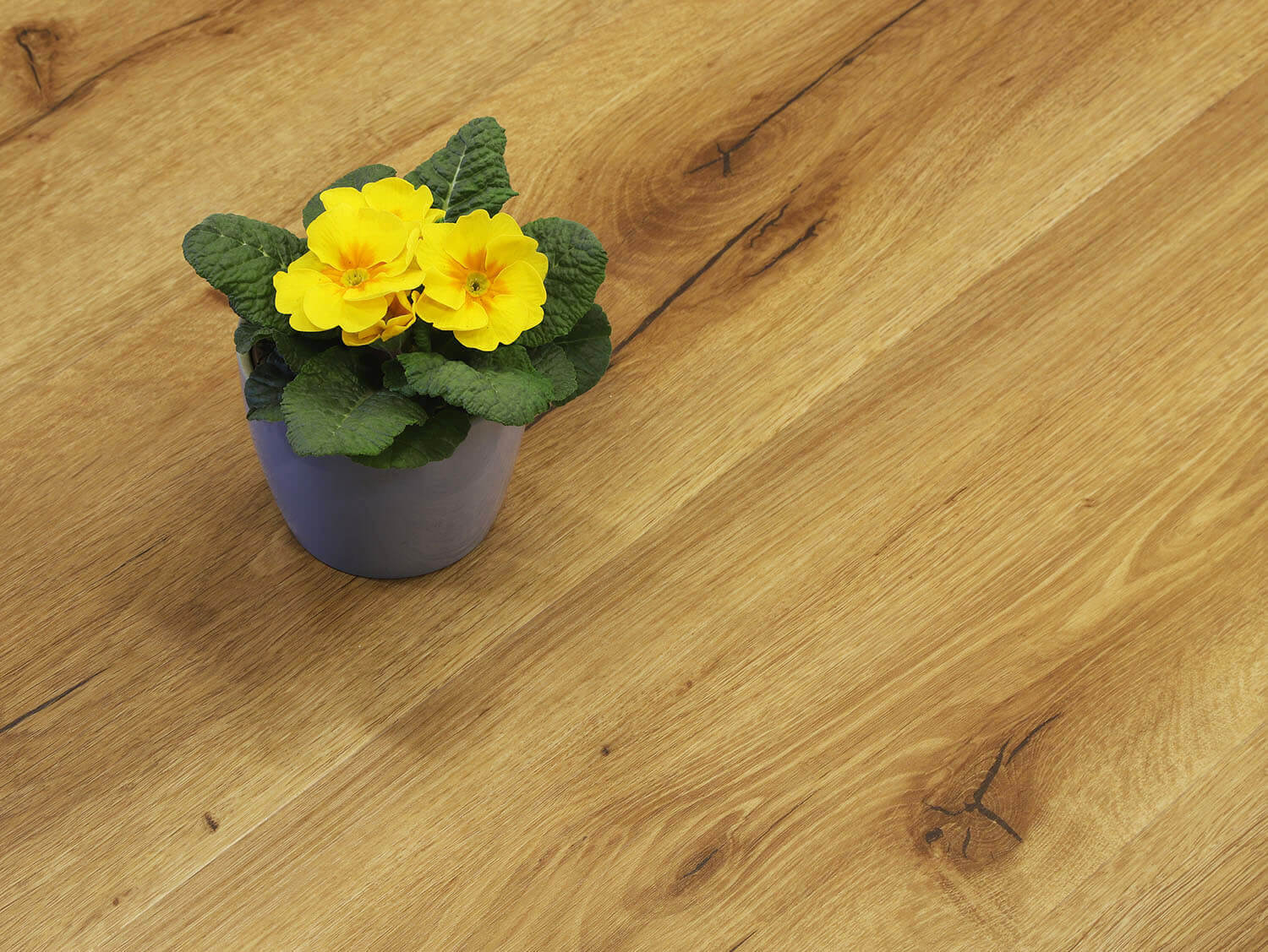 Rigid+ Dub pálený EIR 810167