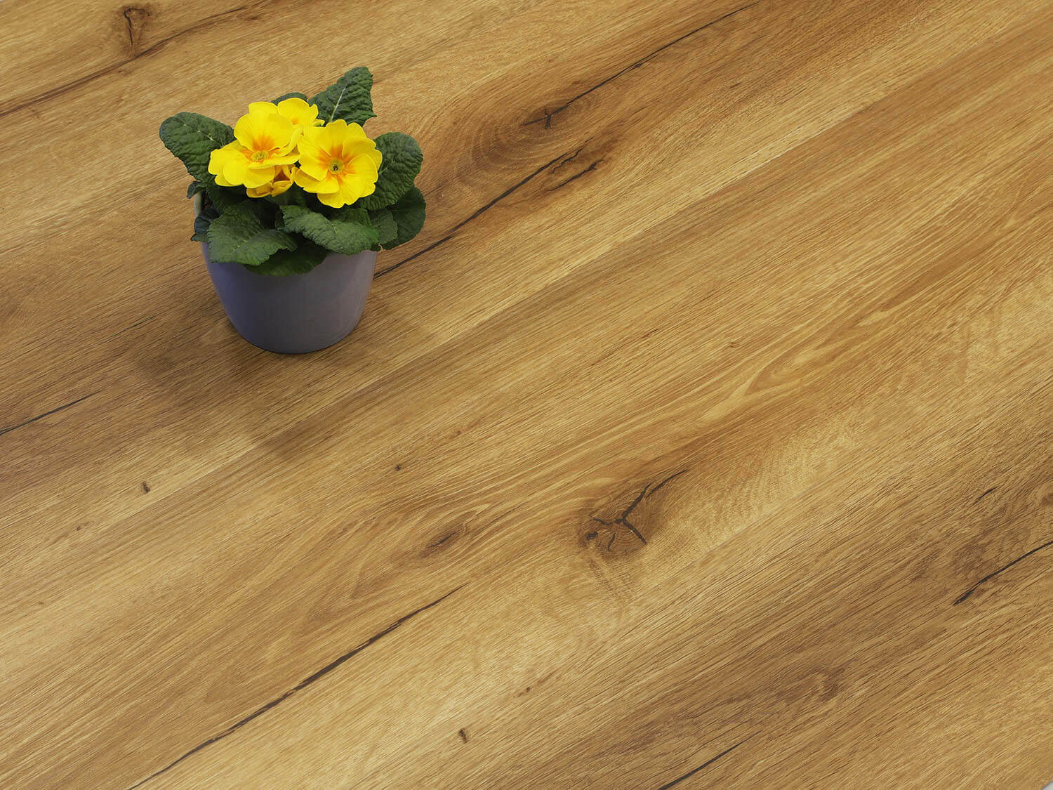 Rigid+ Dub pálený EIR 810167