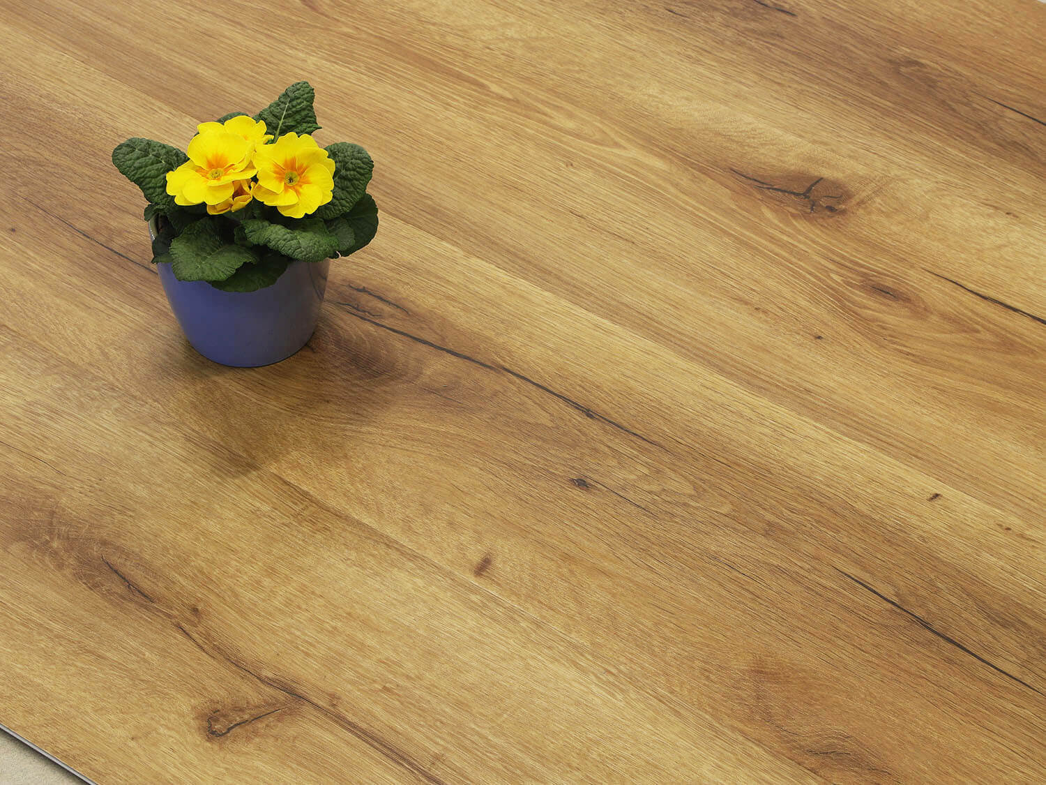 Rigid+ Dub pálený EIR 810167