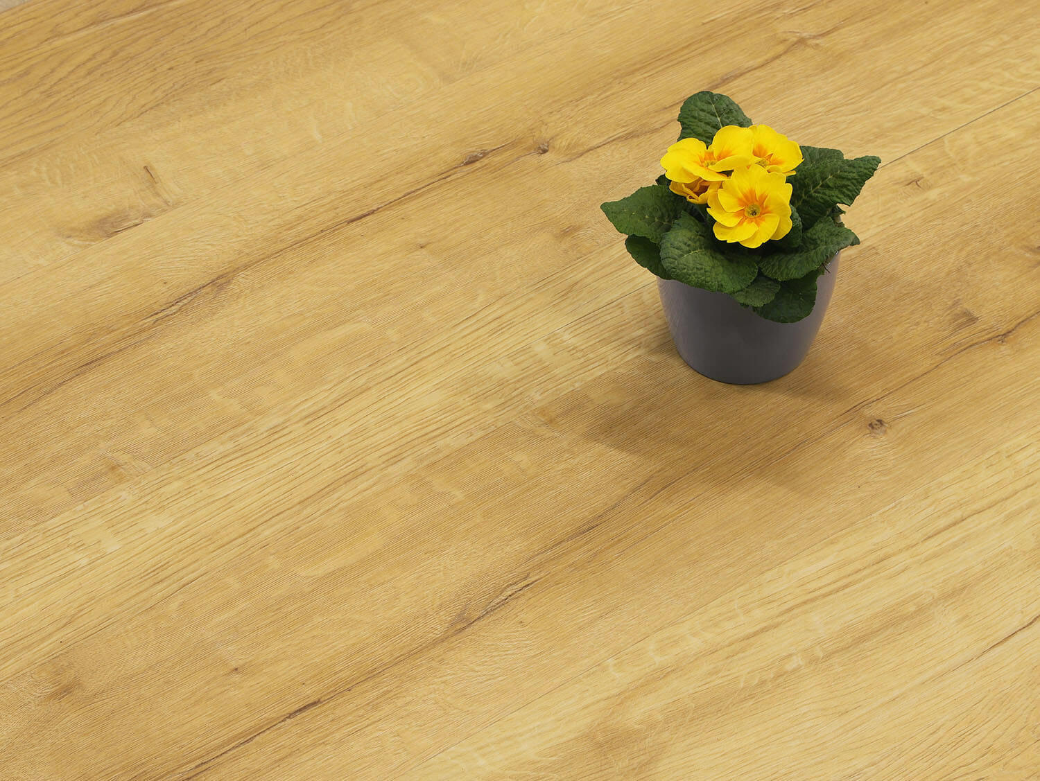 Rigid LVT Dub labský 9475