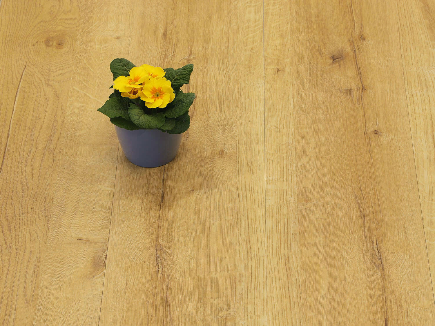 Rigid+ Dub labský EIR 9475