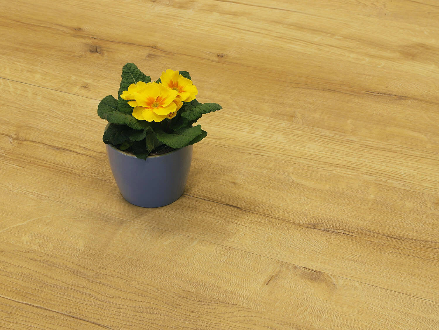 Rigid+ Dub labský EIR 9475