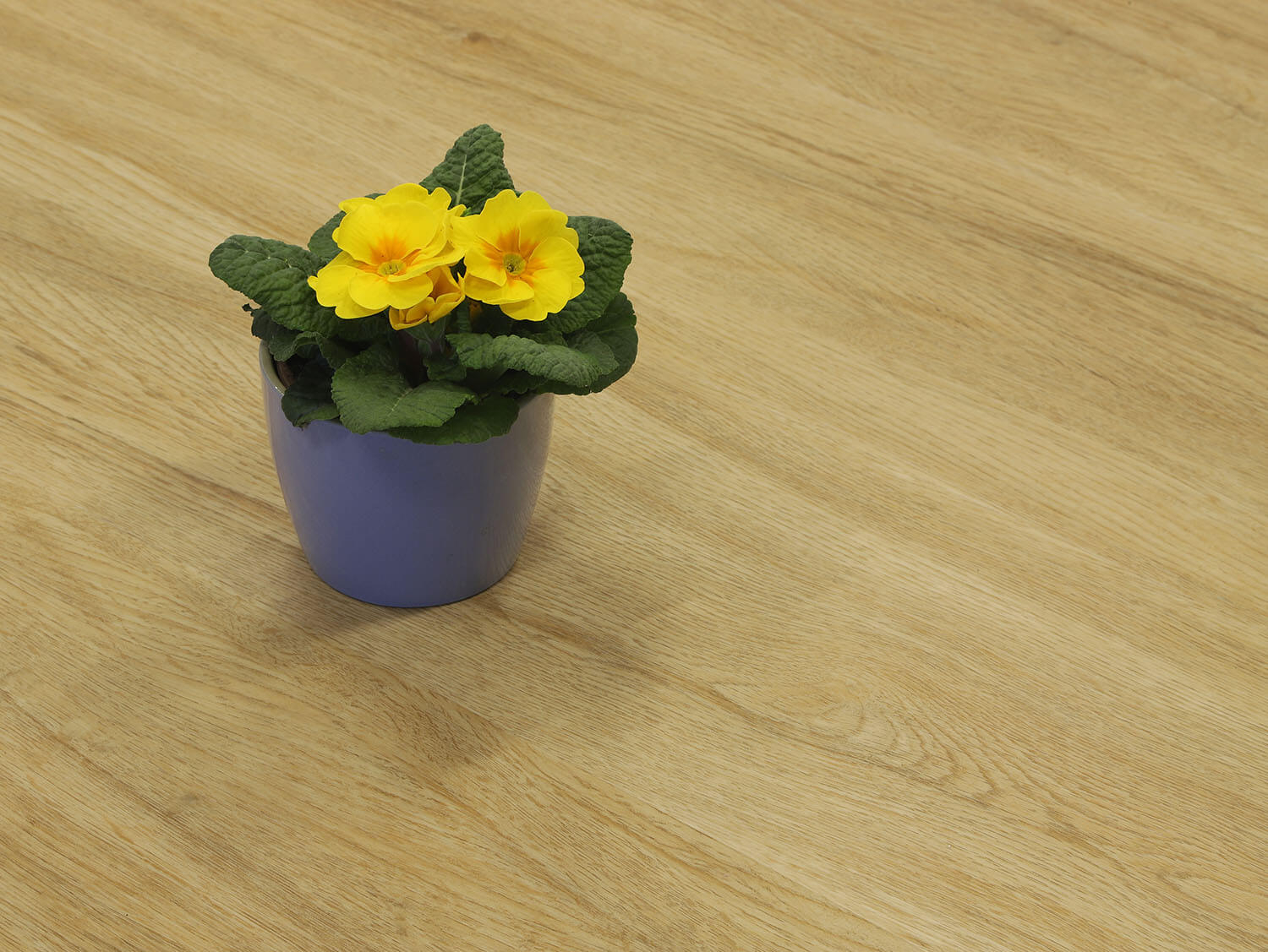 Rigid LVT Hikora EIR 893926