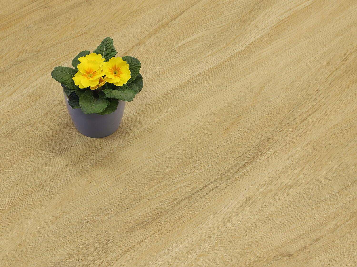 Rigid LVT Hikora EIR 893926