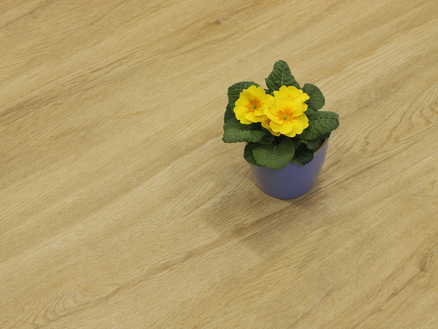 Rigid LVT Hikora EIR 893926