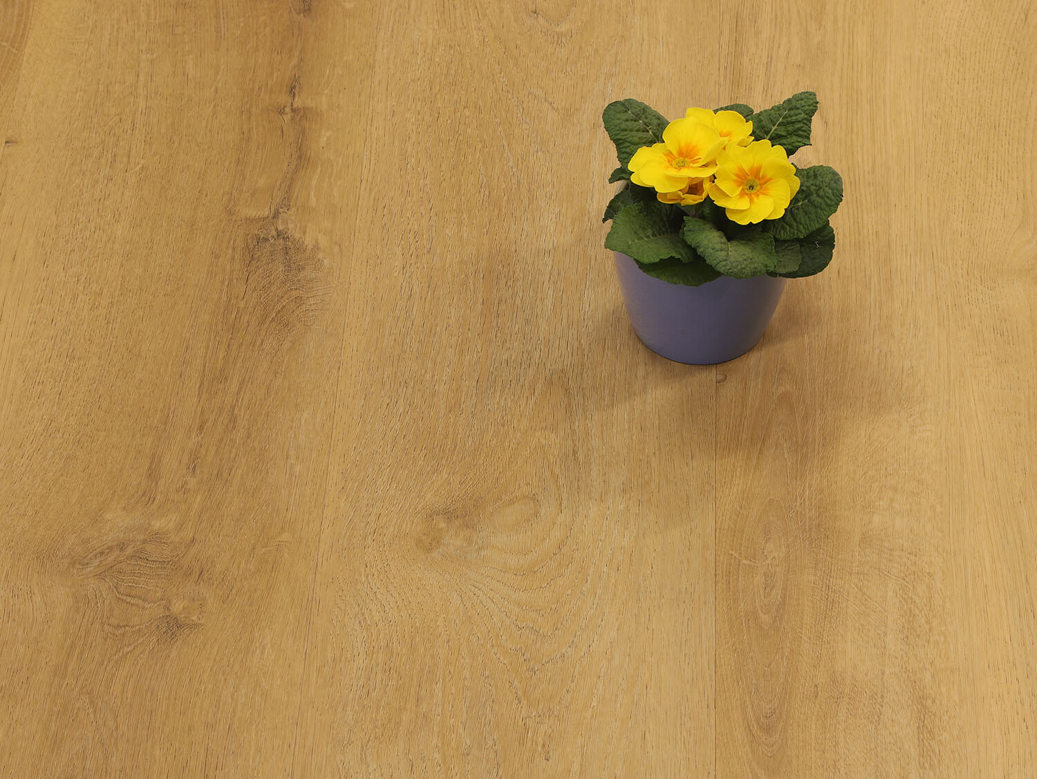 Rigid LVT Dub šumavský EIR 687519